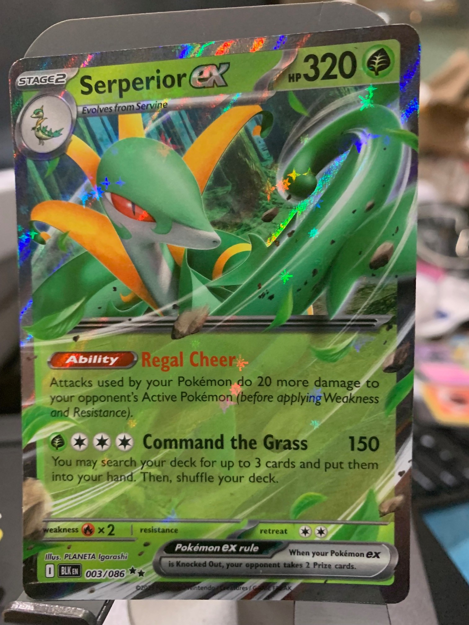 Card front