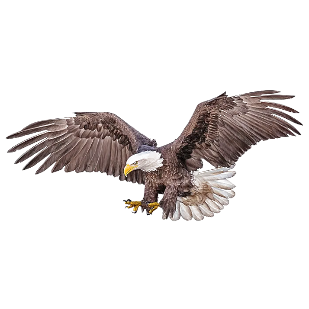 EAGLE logo